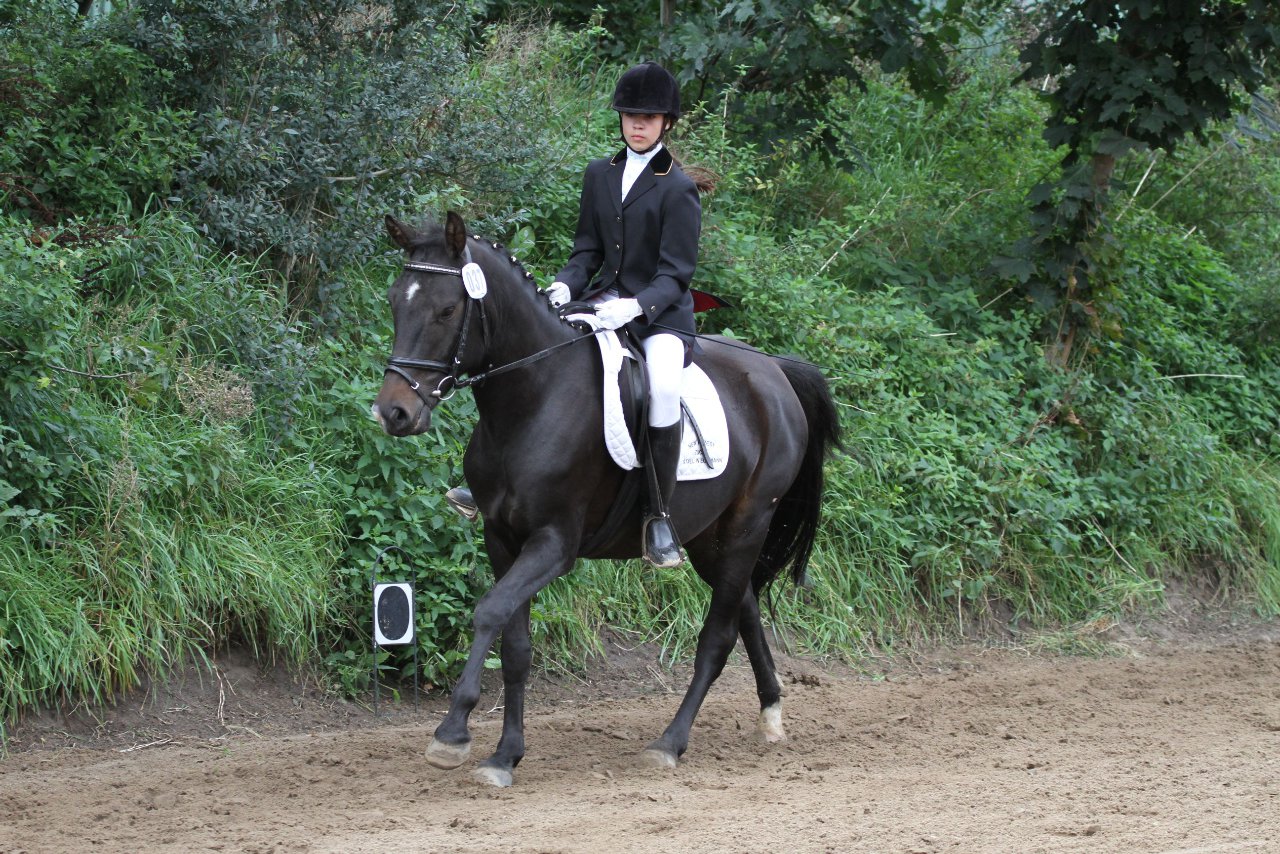 Bild 897 - WBO-Turnier am 18.9.11
